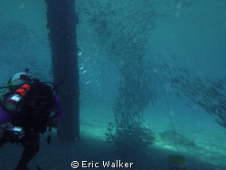 Commercial Pier in Deerfield Beach FL. by Eric Walker 